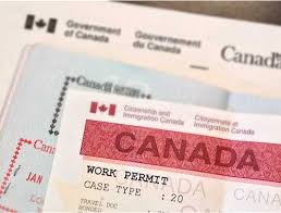 What are a Few Basic Canada Visit Visa Requirements? - Paragon Education Consultants